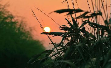 秋天里的怀念读后感优质5篇