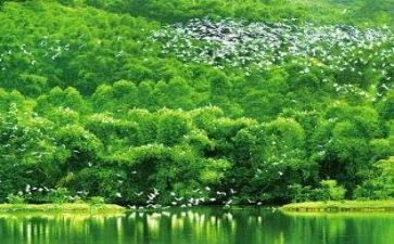 校园生态环境调查报告6篇