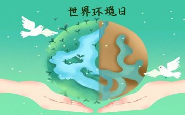 环境日活动的总结7篇