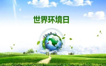 65环境日宣传活动总结7篇