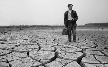 《野性的呼唤》的读后感模板6篇