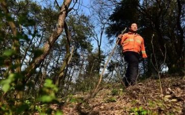 老护林员工作个人总结精选5篇