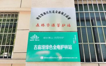 护林站工作总结精选8篇