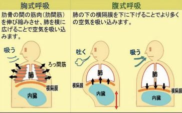 呼吸科实习总结7篇