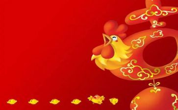 喂小鸡小班教案7篇