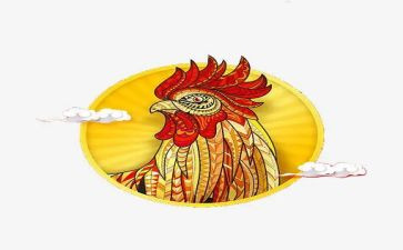 我想养只鸡作文精选5篇