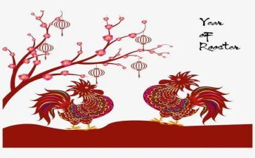 喂小鸡小班教案优秀8篇