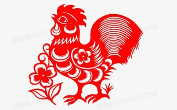 鸡代理合同7篇