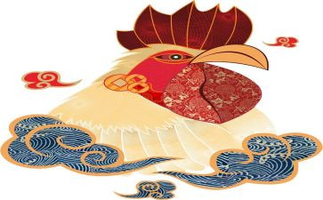 我想养只鸡作文最新6篇