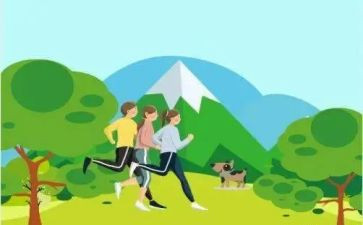 健步走的心得体会6篇