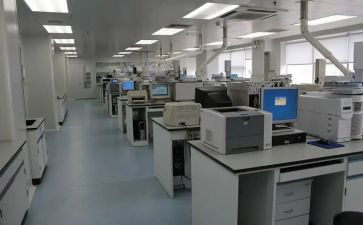 检测公司的工作总结6篇