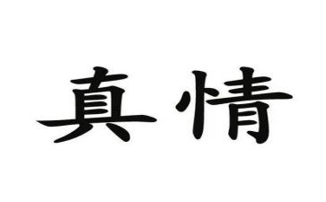 真情的作文500字6篇