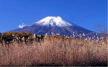 艰难的作文最新5篇