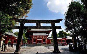 元旦见闻,作文模板5篇