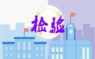 年终检验组工作总结8篇