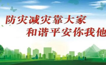 关于防灾减灾活动的总结7篇