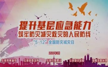 小学开展防灾减灾活动总结8篇