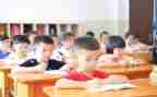 工作总结及教学反思模板7篇