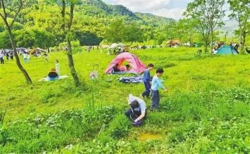 中班音乐课郊游教案5篇