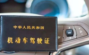 领驾照心得体会6篇
