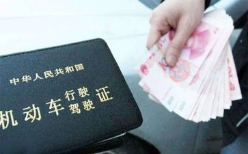 领驾照心得体会推荐6篇