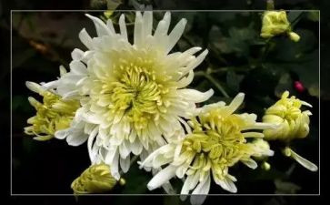清明节祭奠心得体会5篇