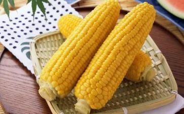 种玉米教案6篇