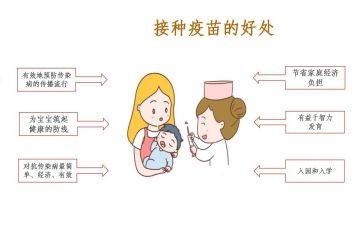 接种员的年度个人总结5篇