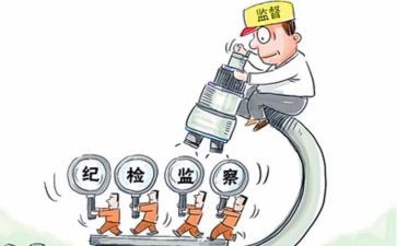 对医院纪检工作总结8篇