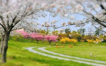 收获的季节作文5篇
