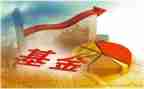 基金圈年终总结7篇