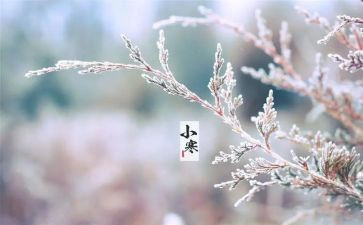 幼儿园节气活动总结总结5篇