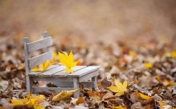 读书的经历的作文最新8篇