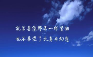新疆党代会精神心得体会7篇