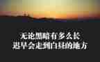 教师的敬业精神演讲稿7篇