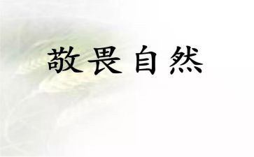 敬畏生命作文优质6篇