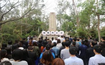 清明节祭扫活动方案8篇