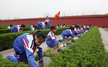 清明节祭扫活动方案优质8篇