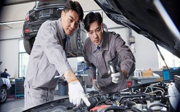 技术员个人专业技术工作总结8篇
