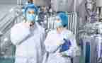 技术组工作总结推荐7篇