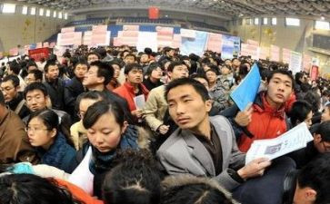就业科个人工作总结8篇