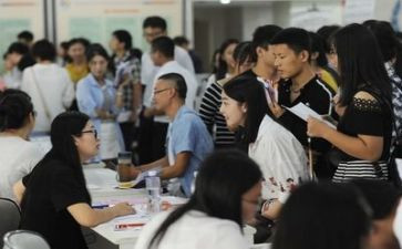 2024就业上半年总结8篇