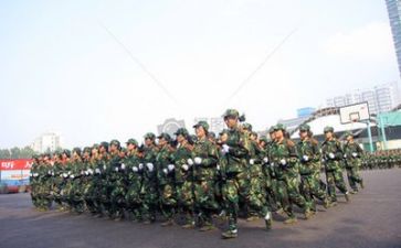 军训心得体会与感悟优质7篇