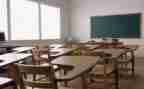 幼儿园开放周心得体会6篇