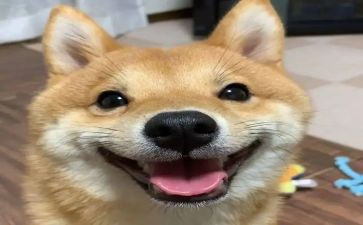想想就开心作文6篇