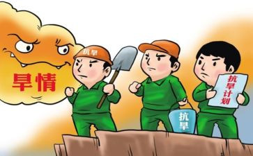 防汛抗旱工作个人总结6篇