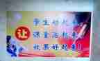 新教师课改心得体会7篇