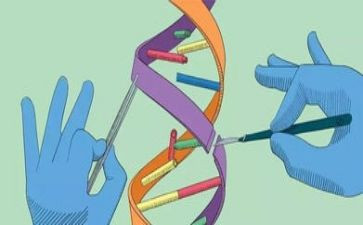 科学老师工作总结推荐8篇