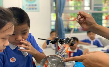 蚕科学课教案5篇