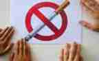 2023年度控烟工作计划5篇